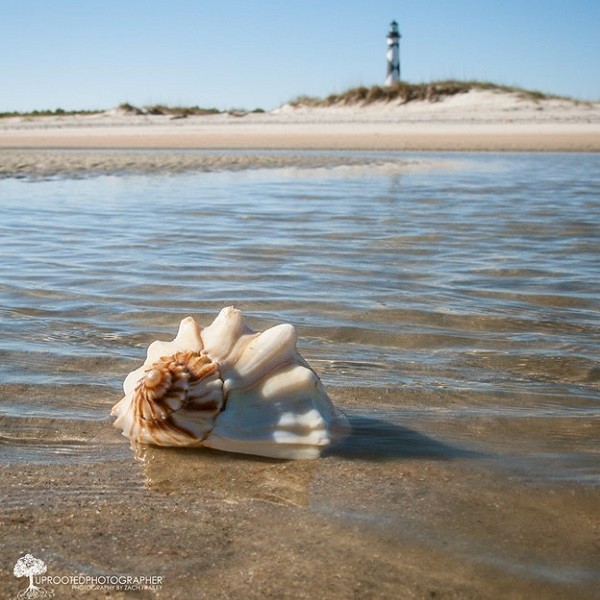 Beaufort, NC