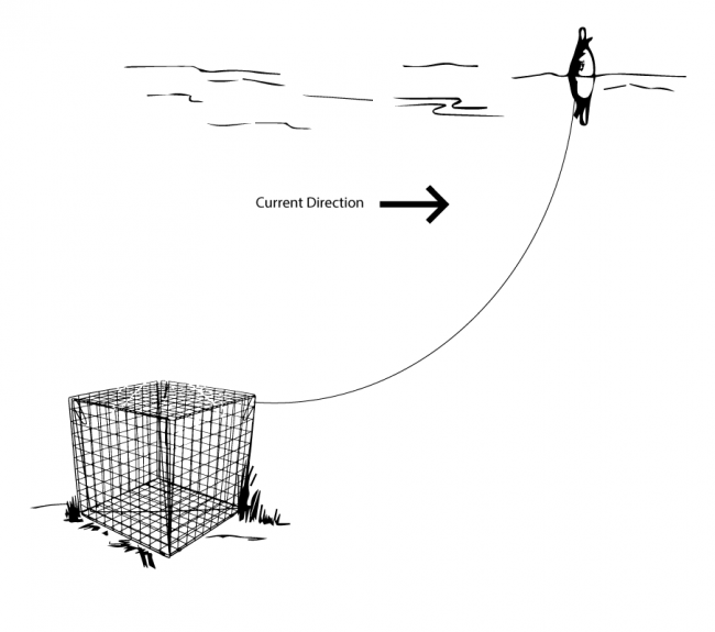 Waterway Guide  Avoiding Crab Pots & Trap Markers