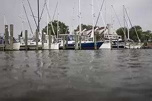 an-inside-look-annapolis-landing-marina