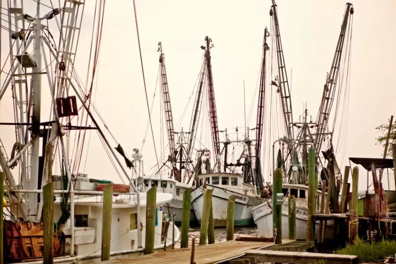 exploring-georgias-golden-isles