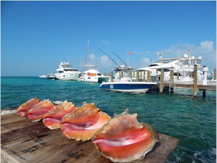 The Bahamas Updates its Official Ports of Entry Waterway Guide News