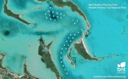 big-changes-coming-to-elizabeth-harbour-george-town-in-exuma-bahamas