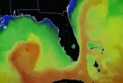 top-5-mistakes-to-avoid-when-crossing-the-gulf-stream